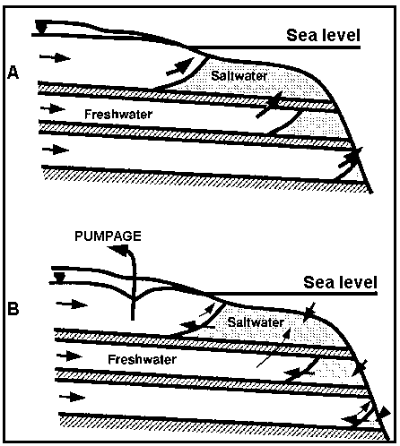 Gambar 2. Potongan Melintang Yang Ideal Suatu Sistem Akuifer Pantai