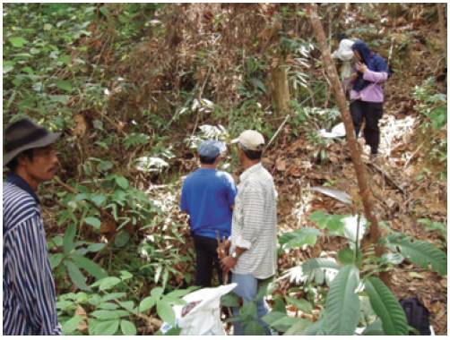 Keterlibatan semua pemangku kepentingan, termasuk masyarakat lokal, dalam seluruh tahapan pengelolaan dapat membantu pengembangan keterampilan, minat, dan kapasitas lokal. Gambar ini menunjukkan bagaimana masyarakat lokal berperan serta dalam analisis vegetasi hutan adat mereka.